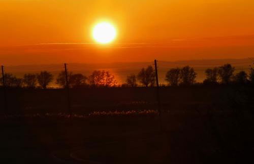 Reet Landhaus Rügen - Foto 6