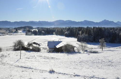 Langegger Alm - Sennerstube - Foto 17