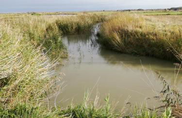 O loft des Croisiens - Foto 43