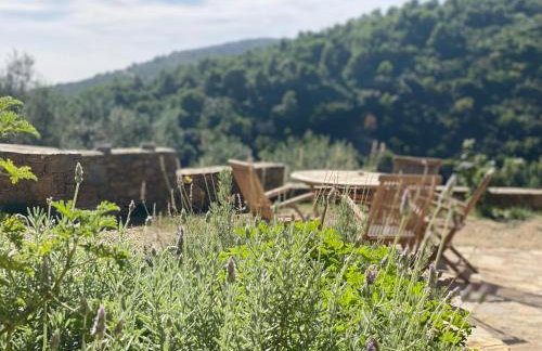 Laas Daskios, Stone Country House, Skopelos Anania - Foto 6