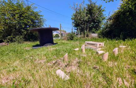 Maison conviviale lac & jardin - Foto 17