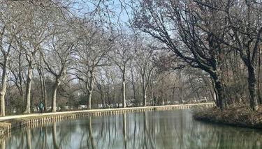 Studio - Centre de Villefranche de Lauragais - Photo 4