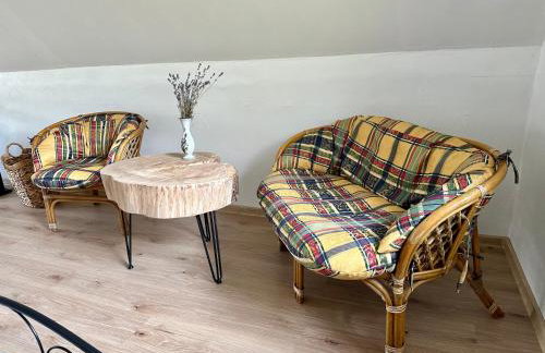 Apartament Loftowy- Bory Tucholskie - Foto 7