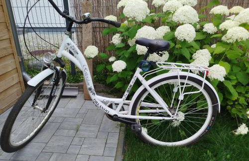 Domek ZOZO nad jeziorem w Okuniowcu - Foto 69