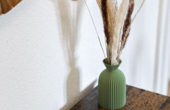 Saint-Louis Centre, Logement idéal voyageurs - Foto 36