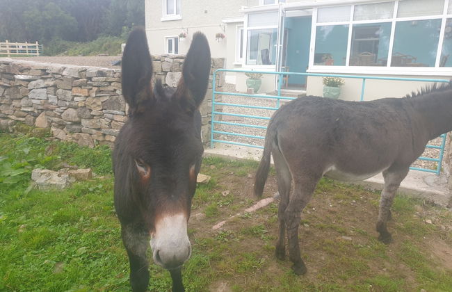 Captivating 3-bed House - Photo 12