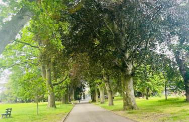 Tanglewood house Abergavenny with private parking - Foto 38