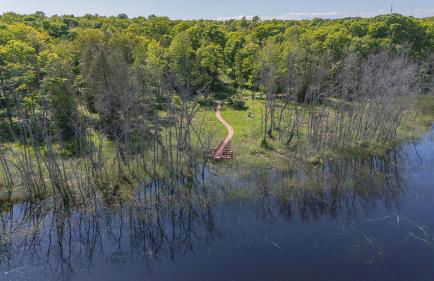 The Rushes - Foto 93