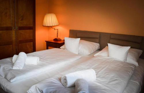 Pałac na Wodzie Hotel & SPA - Foto 11