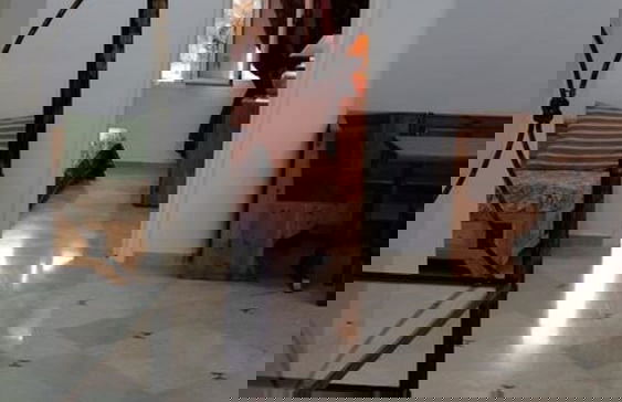 Benzineb Immo Cité Khadra - Foto 16