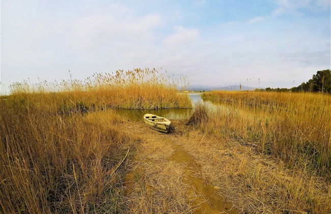 CASTELL GRANADELLA - Foto 46