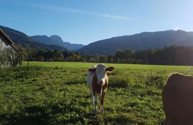 Appartements Apfelblüte - Foto 28