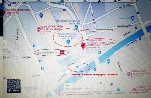 Le Cocon - Vue panoramique Strasbourg - Wifi - Netflix - Foto 23