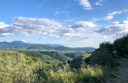 Il colle degli olivi - Foto 25