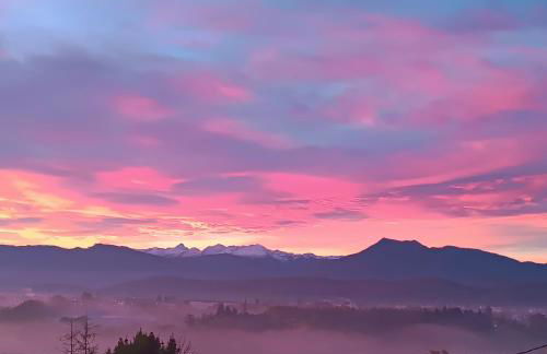 Pyrenees Vue Gite - Le Plus Commentaires Positifs - Vues Fantastique, Tres Bon Petit-Déjeuner, Calme, Piscine, Parking - Foto 47