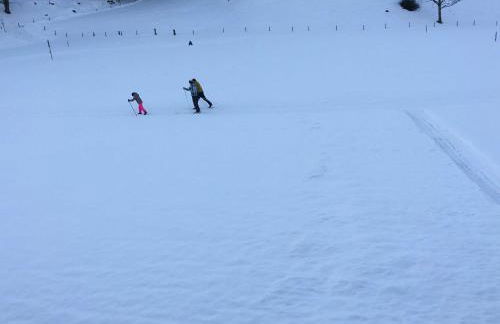 Ferienwohnungen Familie Brunner, Kreuth-Reitrain - Foto 2
