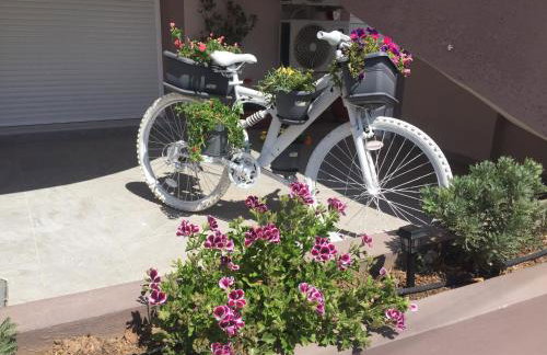 Comfort House Mimosa 2 - Photo 40