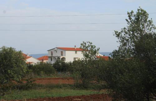 Apartments with parking space Mrljane, Pasman - 8498 - Photo 23