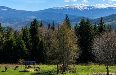 Domki na polanie - Foto 31