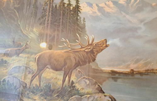 Haus Moselwald - 3 bedrooms - Foto 38