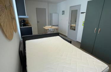 Les lionceaux - Foto 7