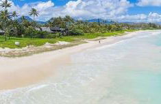 The Little Yellow Cottage in Lanikai Your Perfect Island Getaway! - Photo 24