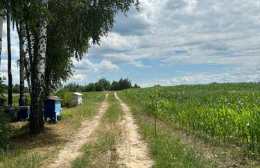 Filipowe Zacisze - Foto 29