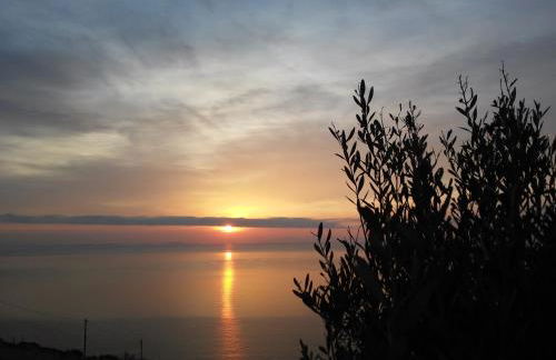 Sarris Planet - Photo 54