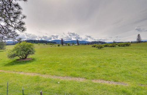 Cozy Clearwater Apartment - Hike, Fish and Explore! - Foto 22