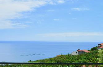 Jardim do Arco "Esmee" - Foto 12