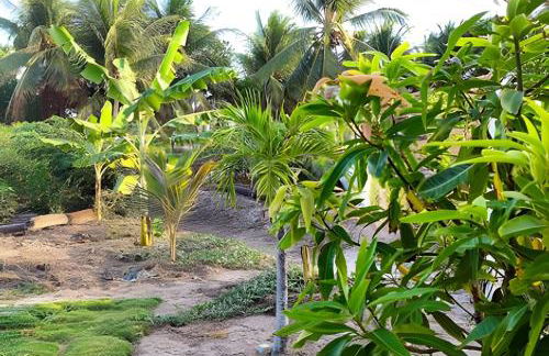 Bella Casa Bougainville - APA Barra de Mamanguape - Photo 9