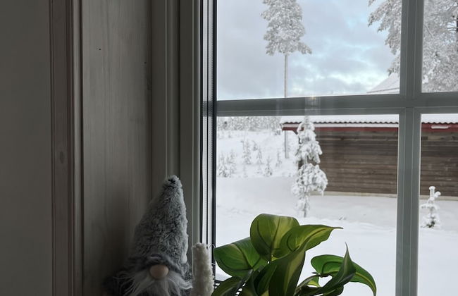 Idre Himmelfjäll - Foto 17