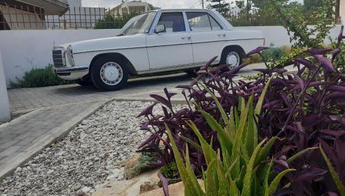 Michael's Greek House - Foto 5