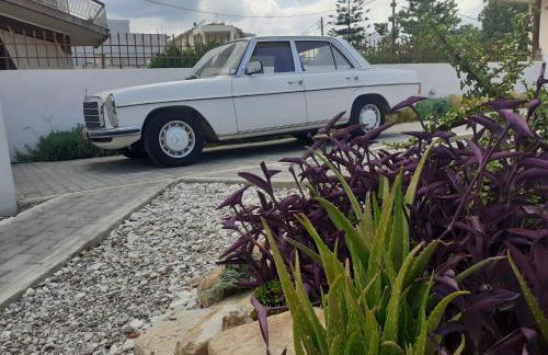 Michael's Greek House - Foto 5