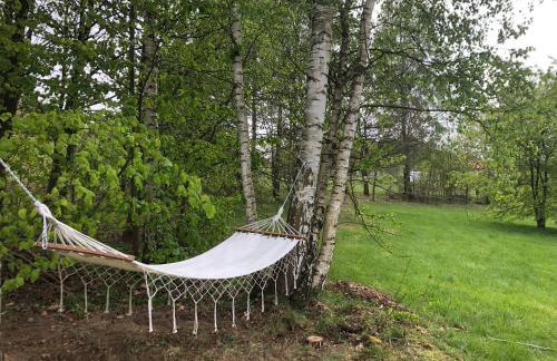 W Karkonoszach na Chacie jacuzzi, sauna, bilard, leśny park - Foto 24