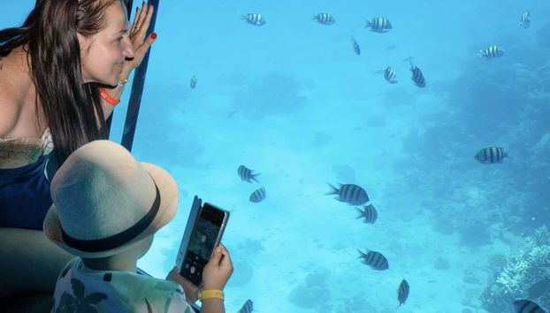 Marvel at the biodiversity in the Red Sea