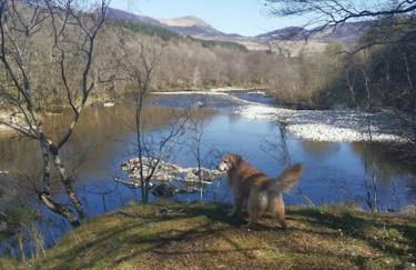 Riverside Lodge in Killiecrankie - Foto 12