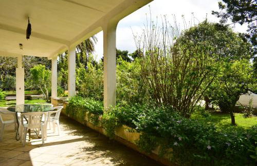 La Cecia - Casa vacanze nella campagna salentina - Foto 29