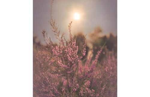 Romantic half-timbered house - Foto 13