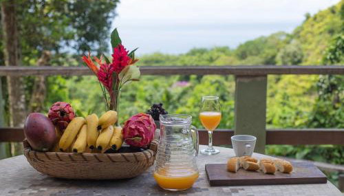 Vista espetacular, no meio da mata, com conforto - Foto 3