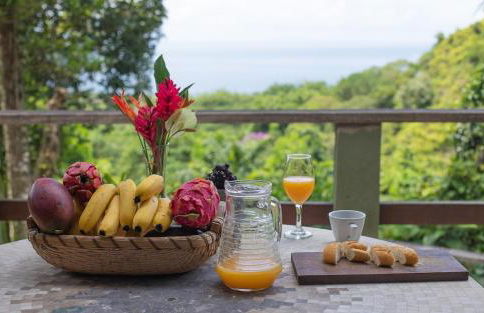 Vista espetacular, no meio da mata, com conforto - Foto 3