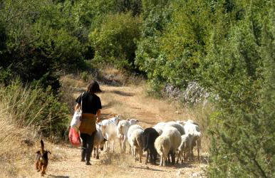 Villa Oaza Primošten With Heated Pool - Foto 35