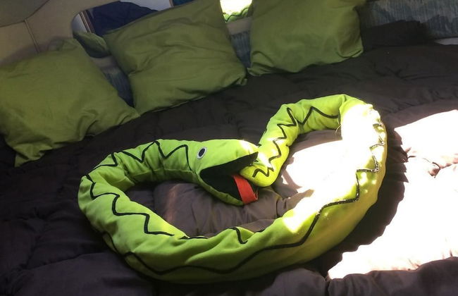 Boat Vedette Arlequin - Foto 4