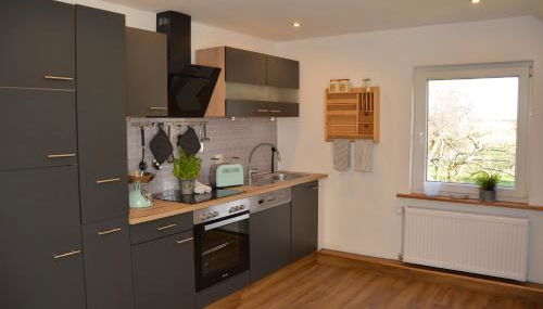 Deichkieker - Foto 5, stove, dishwasher