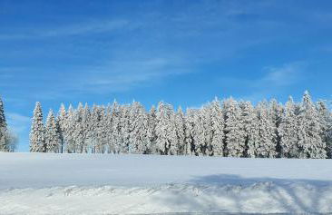 Haus Schneider - Photo 39