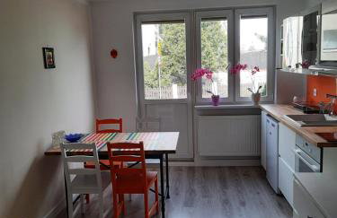 Kawalerka za Świeciem - Foto 7