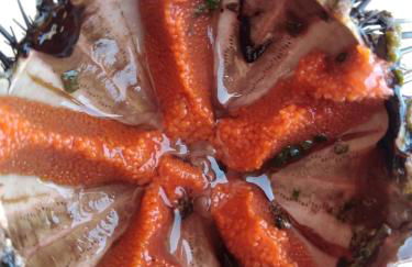 APPARTAMENTI MAZARA - Foto 13