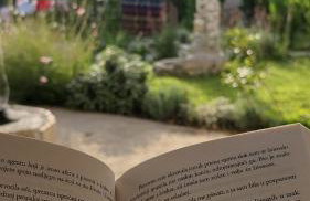 Dream Beloc House Lopud Island - Photo 43