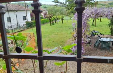 Torre Colombaia - Foto 20