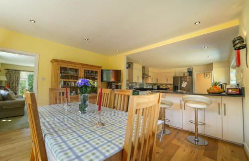 The Quackery - Foto 15